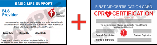 Sample American Heart Association AHA BLS CPR Card Certificaiton and First Aid Certification Card from CPR Certification Shreveport