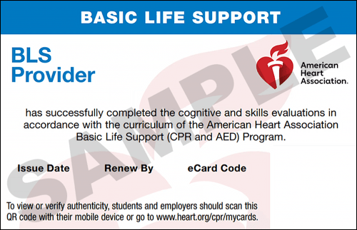 Sample American Heart Association AHA BLS CPR Card Certification from CPR Certification Shreveport